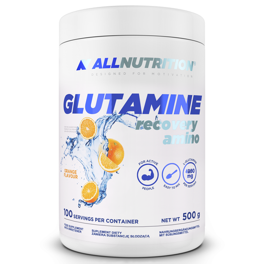 ALL NUTRITION GLUTAMINA 500GR